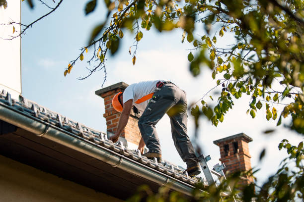 Roof Restoration in Larkspur, CA